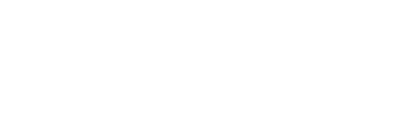 dzemat_logo_wide2